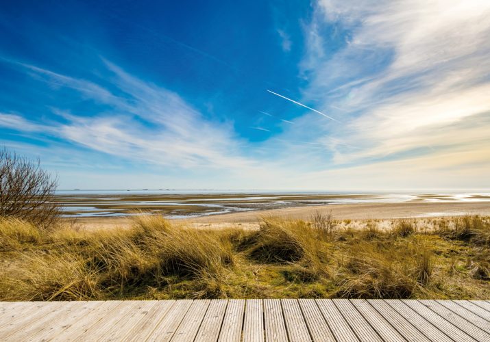 Upstalsboom Wellness Resort Südstrand | Restaurant Biike